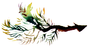 Байкала-озера сказки Том II разд.2 - i_060.png