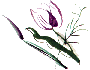 Байкала-озера сказки Том II разд.2 - i_065.png