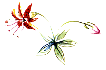 Байкала-озера сказки Том II разд.2 - i_077.png