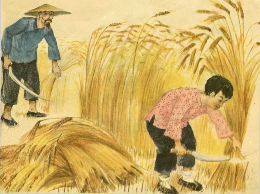 Боб, который умел петь песни - image10.jpg