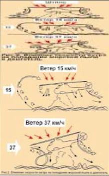 Вертолёт 1998 03 - pic_21.jpg