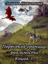 Пересекая границу реальности. Книга 3 (СИ) - автор Никитина Элиана 