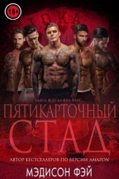 Пятикарточный стад (ЛП) - автор Фэй Медисон 