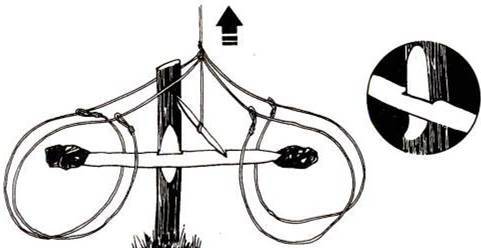 Выживание в условиях дикой природы. Ловушки-петли. Схемы, описание, принцип действия - image024.jpg