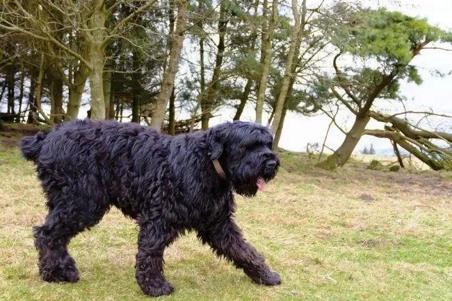 Криминальный попаданец (СИ) - img27.jpg