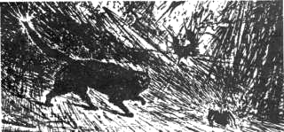 Давай-давай №1 1990 - _3430323039149.png