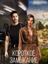 Короткое замыкание (СИ) - автор 