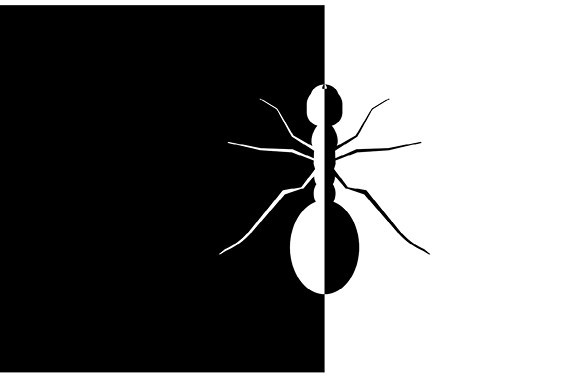 Царство костей - i_002.jpg