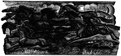 Джангар.Калмыцкий народный эпос(перепечатано с издания 1977 года) - i_012.png