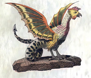 Книга драконов - i_009.jpg