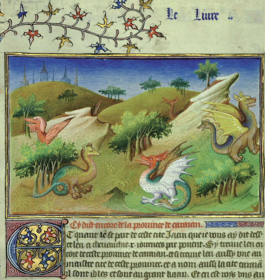 Книга драконов - i_045.jpg