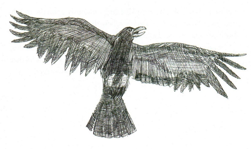 Легенды острова Джерси (ЛП) - img_19