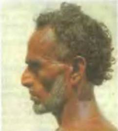 Знание-сила, 2002 №01 (895) - pic_30.jpg