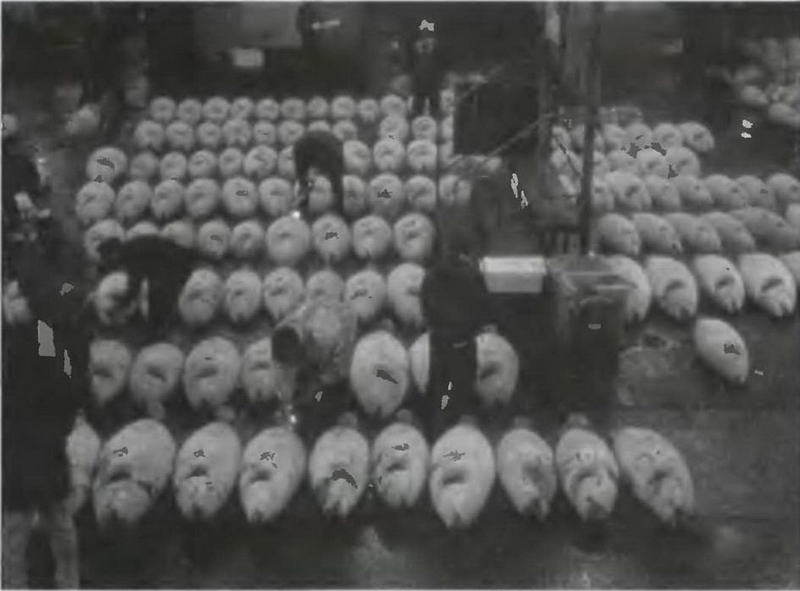 Знание-сила, 2003 № 04 (910) - img_4.jpg