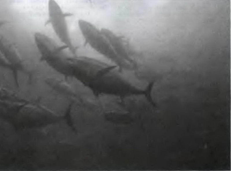 Знание-сила, 2003 № 04 (910) - img_5.jpg