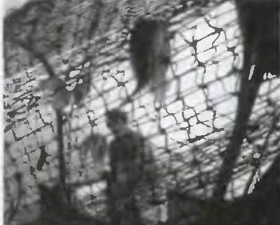 Знание-сила, 2003 № 04 (910) - img_7.jpg