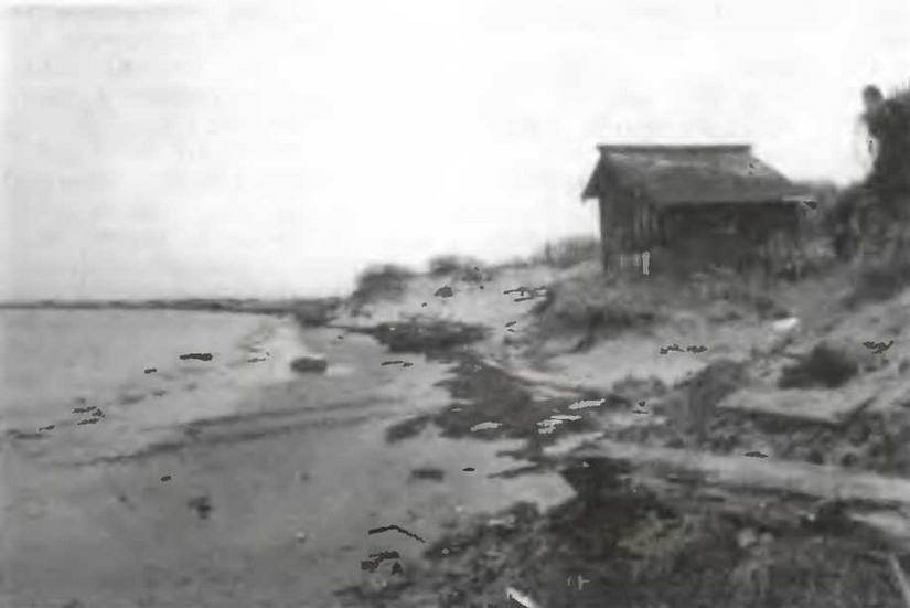 Знание-сила, 2003 № 05 (911) - img_36.jpg