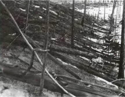 Знание - сила, 2003 № 06 (912) - img_52.jpg