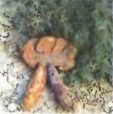 Знание- сила, 2003 № 07 (913) - img_72.jpg