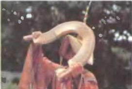 Знание- сила, 2003 № 07 (913) - img_73.jpg