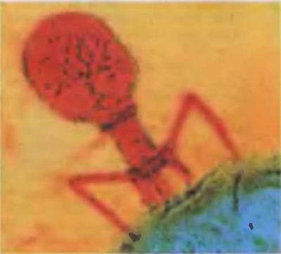 Знание - сила, 2003 № 08 (914) - img_2.jpg