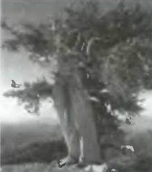 Знание - сила, 2003 № 08 (914) - img_33.jpg