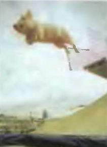 Знание - сила, 2003 № 08 (914) - img_93.jpg