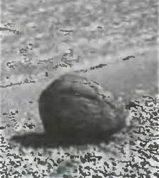 Знание-сила, 2003 №12 (918) - img_78.jpg