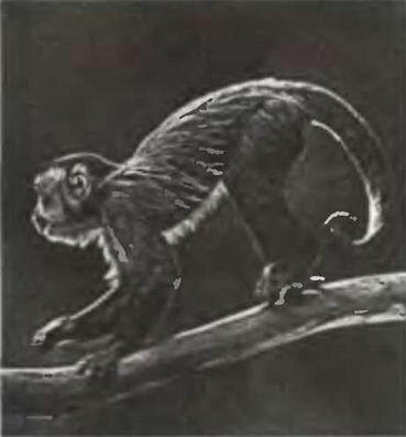 Знание-сила, 2004 № 02 (920) - img_5.jpg