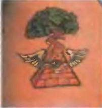 Знание-сила, 2004 № 02 (920) - img_72.jpg