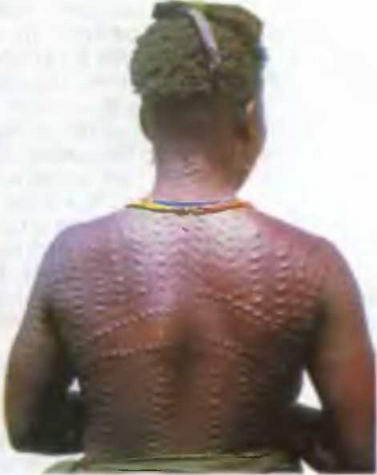 Знание-сила, 2004 № 02 (920) - img_74.jpg