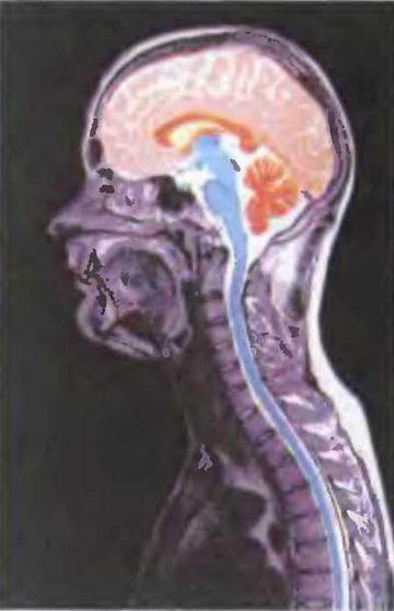 Знание-сила, 2004 № 09 (927) - img_52.jpg