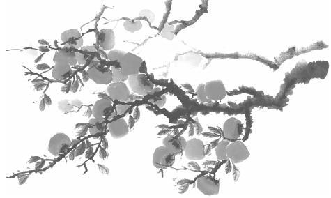 Двойник Запада - i_008.jpg