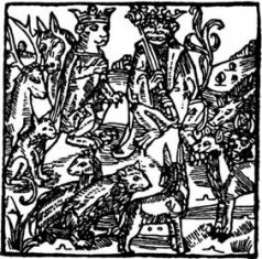 История хитрого плута, лиса Рейнарда - pic_5.jpg