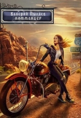 Пылаев Валерий - Коммандер (СИ)