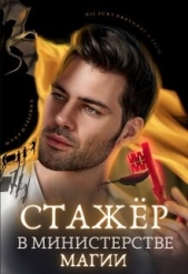  Шеверина Юлия - Стажёр в Министерстве Магии (СИ)