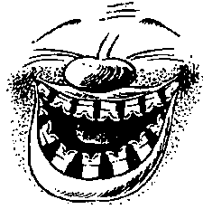 К вам мой попугай не залетал? - _14.png