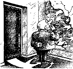 К вам мой попугай не залетал? - _8.png