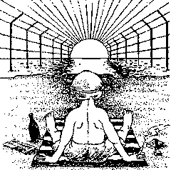 К вам мой попугай не залетал? - _9.png