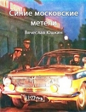 Синие московские метели (СИ) - автор Юшкин Вячеслав 