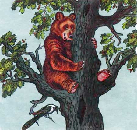 Кот и лиса - i_013.jpg