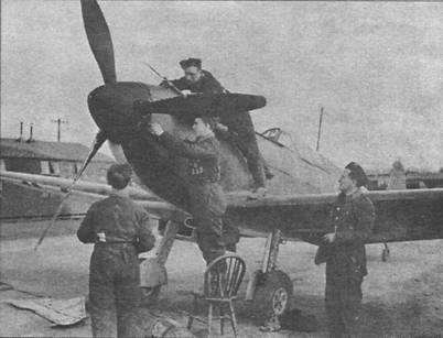 Крылья 7 - pic_10.jpg