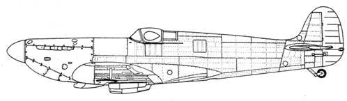 Крылья 7 - pic_147.jpg