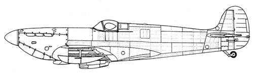 Крылья 7 - pic_148.jpg