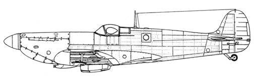 Крылья 7 - pic_149.jpg