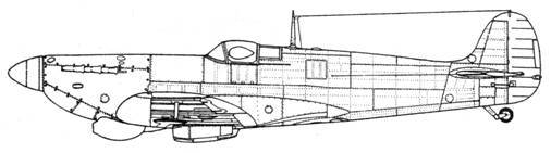 Крылья 7 - pic_152.jpg