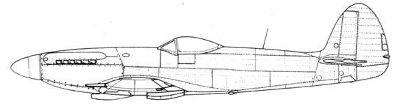 Крылья 7 - pic_176.jpg