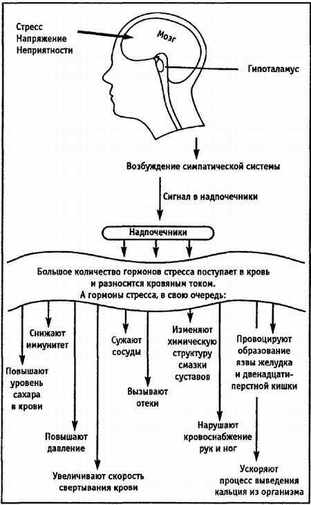 Причина твоей болезни. О чем вам не расскажут врачи - _00.jpg