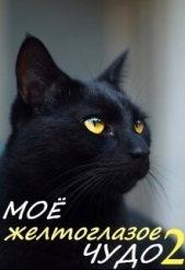 Моё желтоглазое чудо. Книга 2 (СИ) - автор Валарика Кира Оксана 