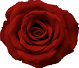 Беглянка (ЛП) - img_3